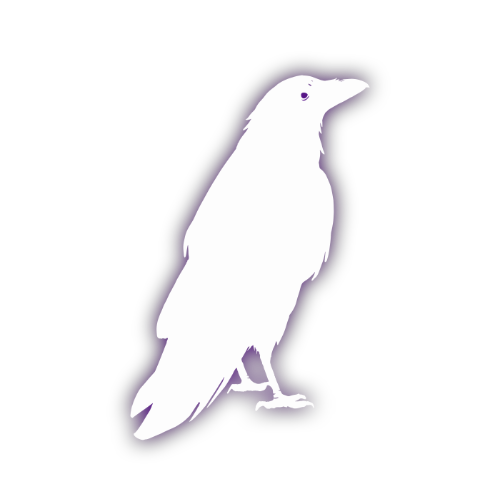 Raven Cybersecurity