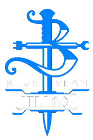 Blue Team Village