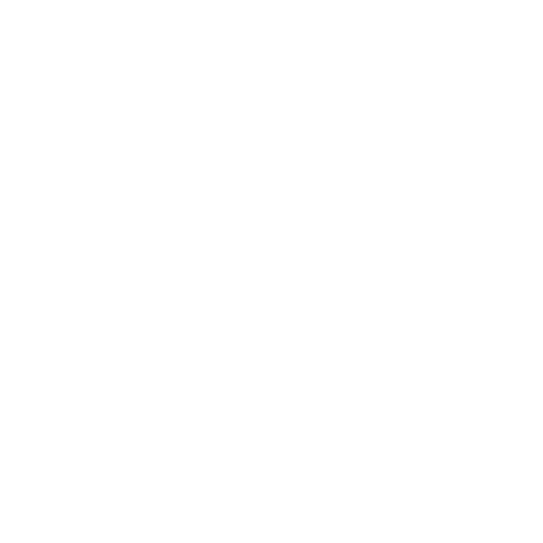 OWASP Supporter